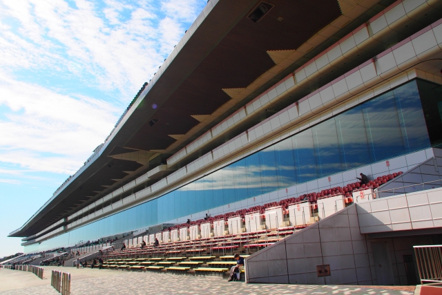 中山競馬場