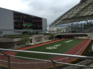 阪神競馬場のパドック